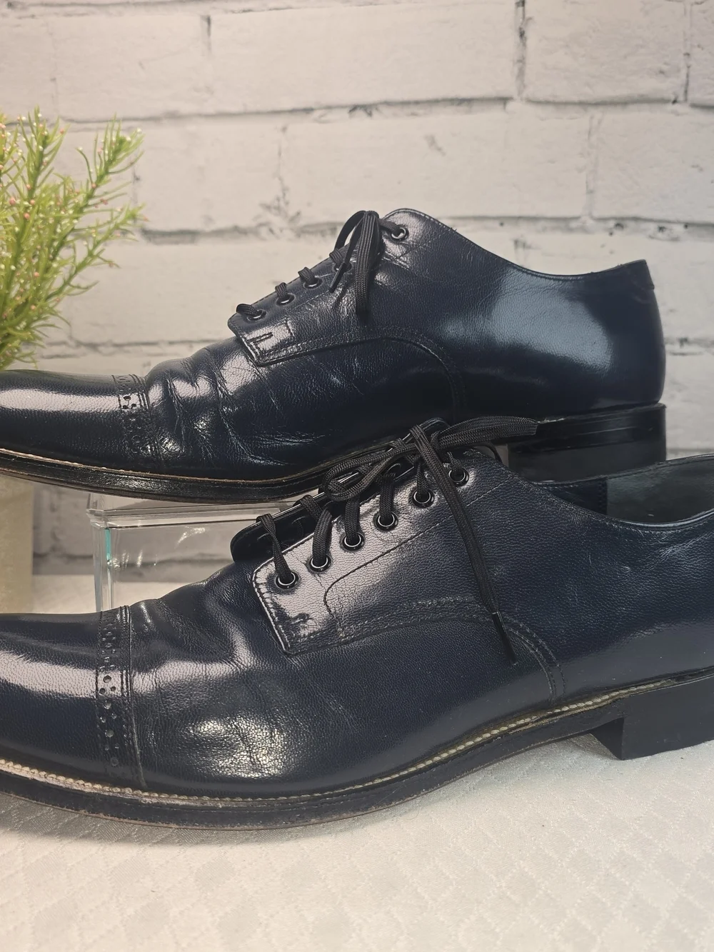 Stacy Adams polished leather